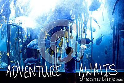 Composite image of adventure awaits Stock Photo