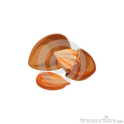 Apricot kernels vector icon. Vector Illustration