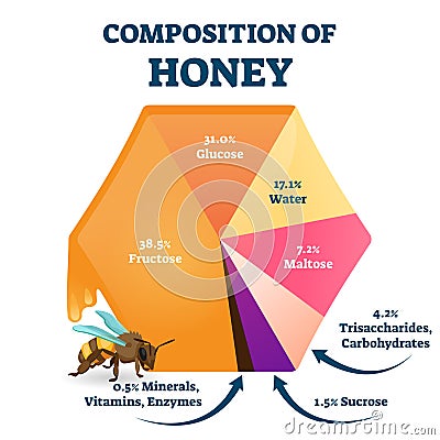 Composition of bee honey vector illustration. Labeled food structure scheme Vector Illustration