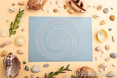 Composition with blue paper sheet, seashells, pebbles, green boxwood. mockup on orange background. top view, copy space Stock Photo