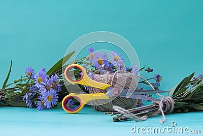 Composition with a bouquet of flowers of violet asters and scissors on a neutral green background. Stock Photo