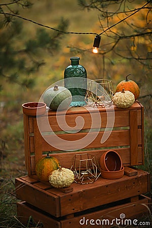 Composition of boxes and pumpkins Stock Photo