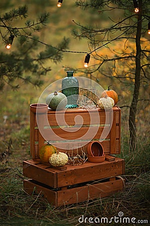 Composition of boxes and pumpkins Stock Photo