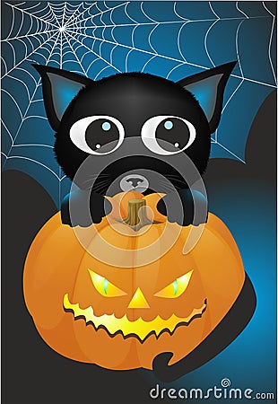 Halloween theme with cat and pumpkin Stock Photo