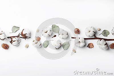 Composition with cotton flowers, top view Stock Photo