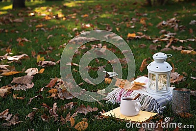 Composition with cup of coffee, book, plaid and autumn leaves on green grass outdoors. Space for text Stock Photo