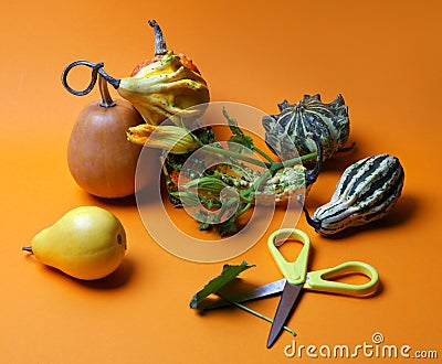 Composition of decorative pumpkins and pears Stock Photo