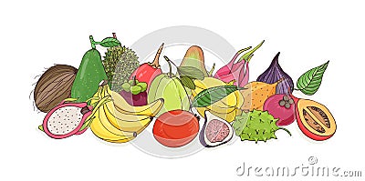 Composition with delicious ripe juicy tropical fruits - mango, banana, pitaya, avocado, fig, tamarillo, coconut, durian Vector Illustration