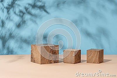 Composition empty podium material tree stone dry flowers. Product presentation. Background beige. Beautiful background Stock Photo