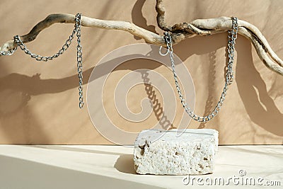 Composition empty podium material tree stone dry flowers. Product presentation. Background beige. Beautiful background Stock Photo