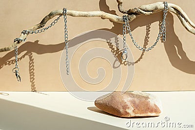 Composition empty podium material tree stone dry flowers. Product presentation. Background beige. Beautiful background Stock Photo