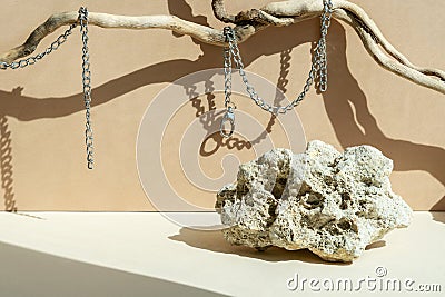 Composition empty podium material tree stone dry flowers. Product presentation. Background beige. Beautiful background Stock Photo