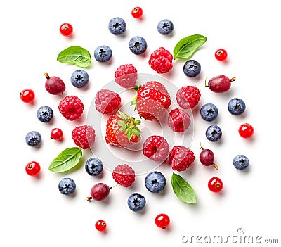 Composition of fresh berries and green leaves Stock Photo