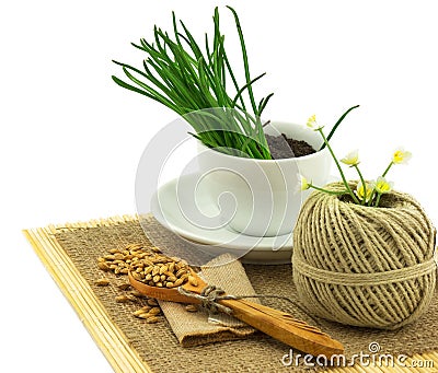 Composition from grass in the cup and plate, seeds, mat, sacking Stock Photo