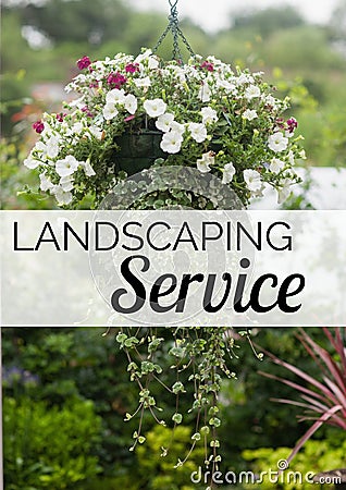 Composition of green gardening services text over colourful flowers hanging Stock Photo