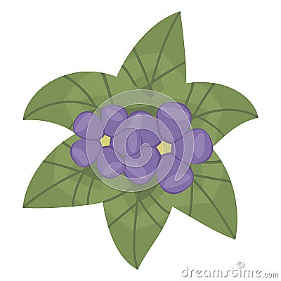 Composition of green shiny bright leaves and small purple flowers violets with yellow center object isolated on white background v Vector Illustration