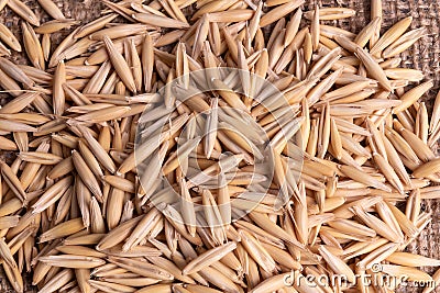 Composition of a heap of dried oat seeds on textured background Stock Photo