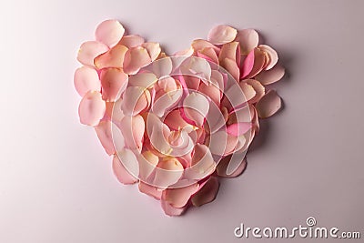 Composition of heart of petals on white background Stock Photo