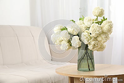 Composition hydrangea flowers indoor. Spring plant Stock Photo