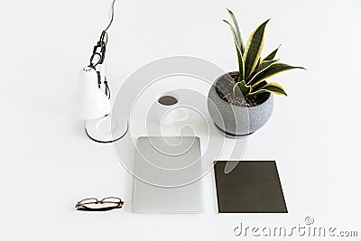 Composition with laptop, desklamp, plant and cup of coffee Stock Photo