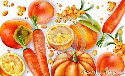 Composition of orange fruits and vegetables. Oranges, carrots, pumpkin, peaches and pyracantha berries Vector Illustration