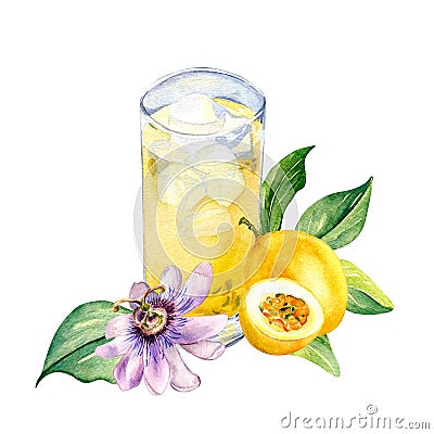Composition of passion fruits and smoothies watercolor illustration isolated on white. Cartoon Illustration