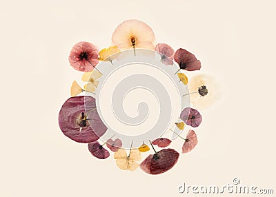 Composition pattern of pressed dried flowers of field poppies in the form of a circle. Mockup for greeting card, wedding Stock Photo