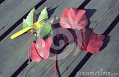 Red leaves and yellow fork Stock Photo