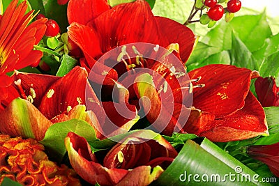 Composition of rose, gerbera, orchid and anthurium Stock Photo