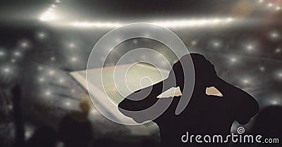Composition of silhouette of fan watching game in sports stadium Stock Photo