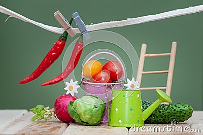 Composition of small fruits and vegetables and garden accessories. Organic bio fresh vegetable, Stock Photo