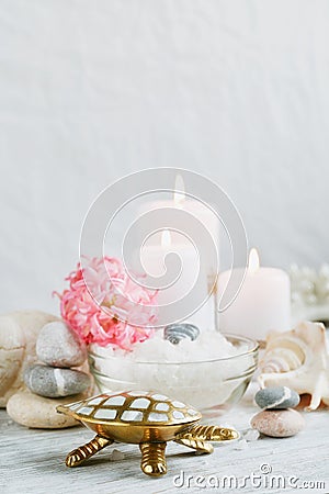 Composition of spa treatment on wooden background Stock Photo