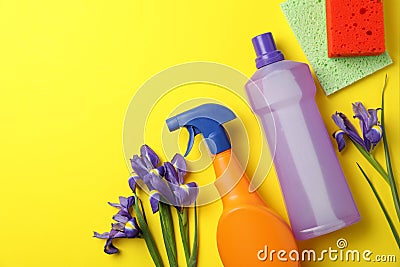 Composition with spring flowers and cleaning supplies on background, flat lay. Space for text Stock Photo