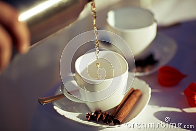 Composition of a spring picnic with two cups of hot tea with sticks of cinnamon and anise, tea poured from the thermos Stock Photo