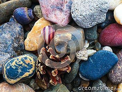 Collection of stones, shells and cones on the shore Stock Photo