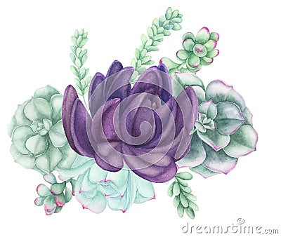 Composition with Succulents and air-plants illustration, watercolor painting. Cartoon Illustration