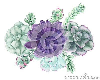 Composition with Succulents and air-plants illustration, watercolor painting. Cartoon Illustration