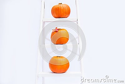 Composition of Three pumpkins with maple leaf on stairs on the steps of croped rung ladder on white background isolated. Autumn ho Stock Photo