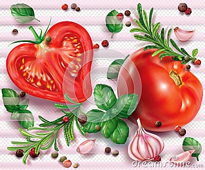 Composition with tomatoes and aromatic herbs and spices Vector Illustration