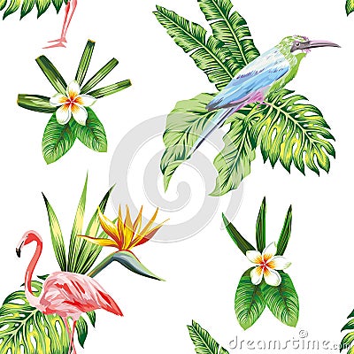 Composition of tropical bird flowers and plants white background Vector Illustration