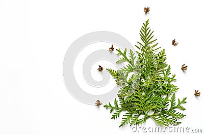 Composition of twigs of thuja and tiny cones in the shape of a Christmas tree, isolated on a white background. Christmas card conc Stock Photo