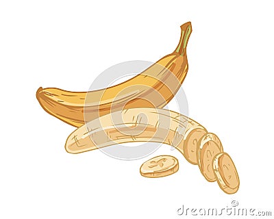 Composition with whole ripe banana in skin and peeled yellow fruit with cut slices isolated on white background. Hand Vector Illustration