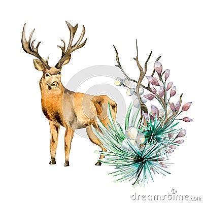 Composition of winter plants and deer watercolor illustration isolated on white. Cartoon Illustration