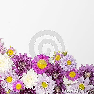 composition wonderful bright flowers. High quality photo Stock Photo