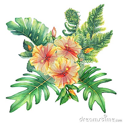Composition with yellow-red hibiscus flowers and tropical plants. Stock Photo