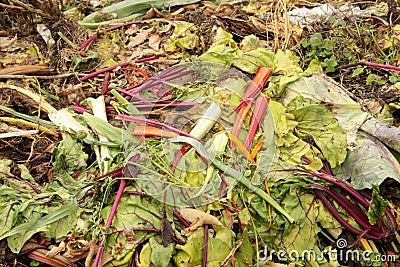 Compost Heap Stock Photo