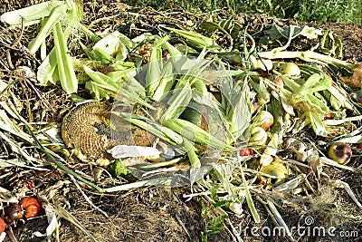 Compost heap with rotting food and vegetable remains Stock Photo