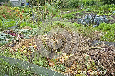 Compost Pile Stock Photo