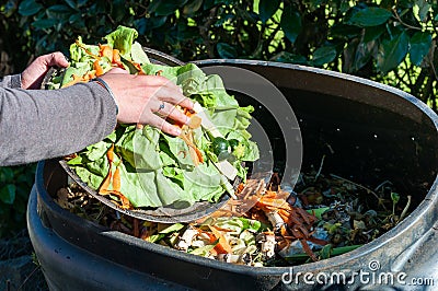 Composting Stock Photo