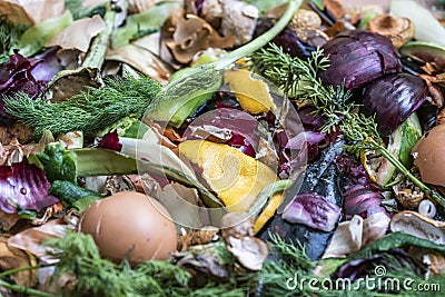 Composting pile of rotting kitchen scraps Stock Photo